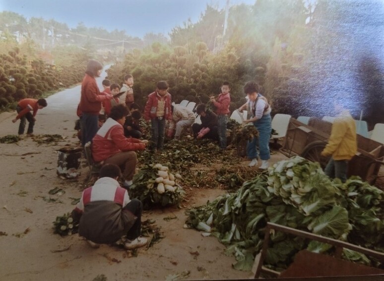 덕성원 시절 농작물 재배에 동원된 원생들.진실화해위는 2024년 10월8일 덕성원 인권침해 사건 신청인 안종환씨와 미신청 피해자 45명에 대해 진실규명 결정을 내렸다.덕성원 피해생존자협의회 제공