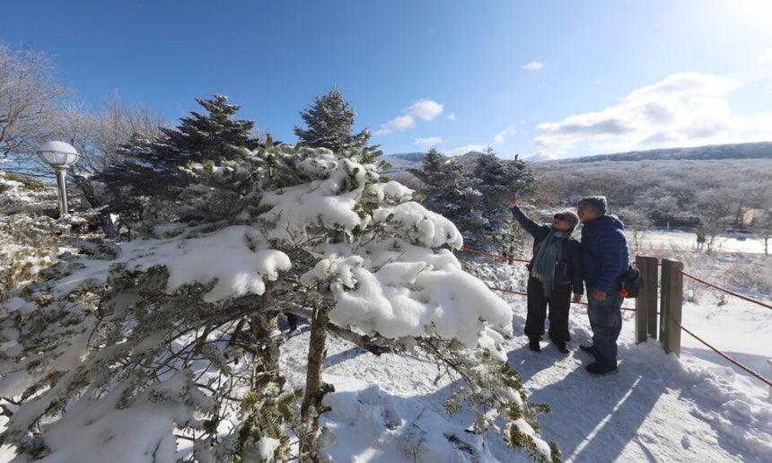 27일 한라산의‘1100고지\\\' 휴게소에 많은 관광객이 찾아와 눈풍경을 즐기고 있다.연합뉴스.