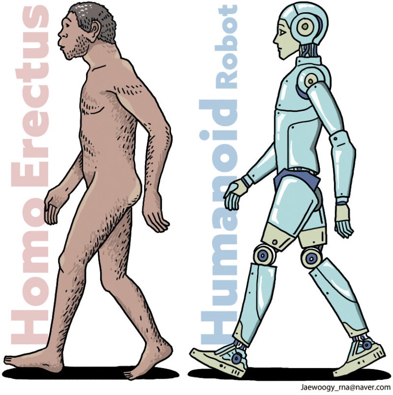 호모 에렉투스에서 휴머노이드까지 [유레카]