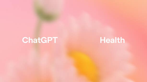 “병원 가서 뭐 물어볼까?”…오픈AI, ‘챗GPT 헬스’ 출시