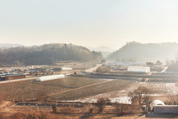좀 더 나은 시골살이 올까요? [서울 말고]