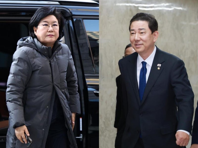 흑묘 백묘 다 좋지만 도둑고양이는 곤란하잖나 [아침햇발]