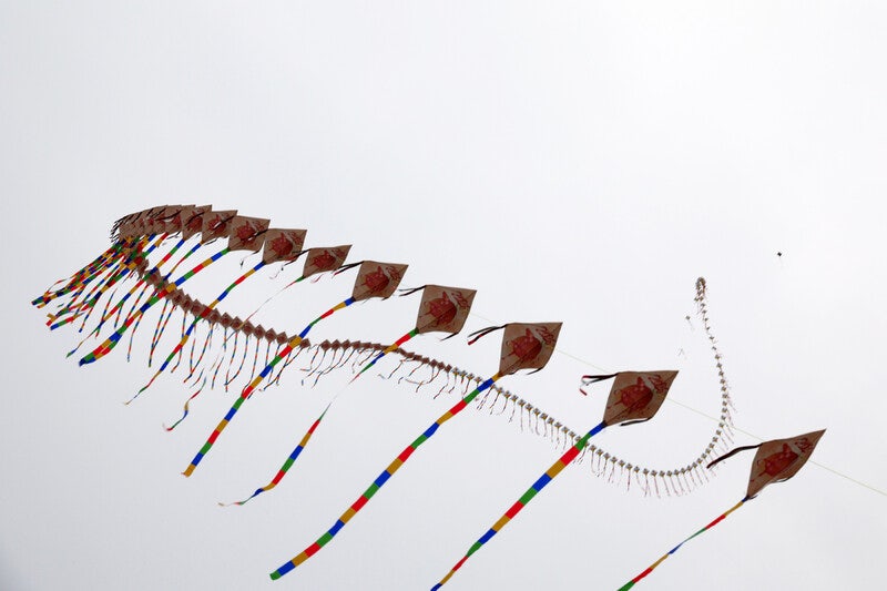 더 높이,  더 오래…‘연대의 바람’ 하늘에 오르다 [포토에세이]