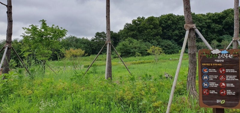 “하늘다람쥐·담비가 돌아왔네”…청주 우암산 생태축 복원 효과
