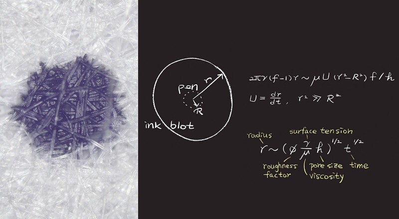 빈 종이는 비어 있지 않다 [크리틱]