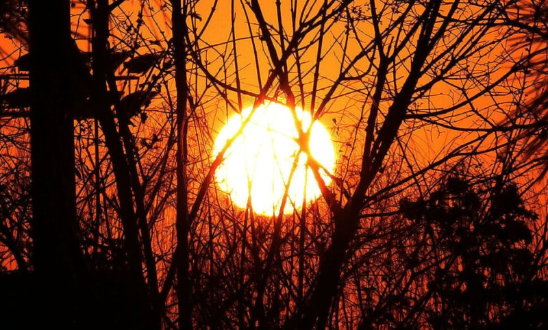 병오년의 일출 [포토에세이]