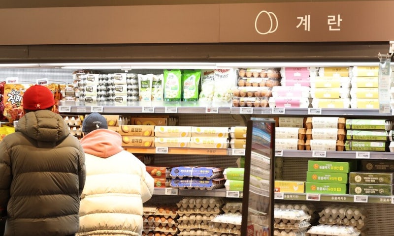 공정위, 산란계협회 ‘달걀 가격 담합 혐의’ 심의 착수