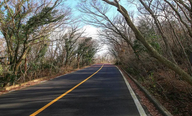 군사반란 기념 제주 ‘516로’, 이제 퇴장할 때 [세계의 창]