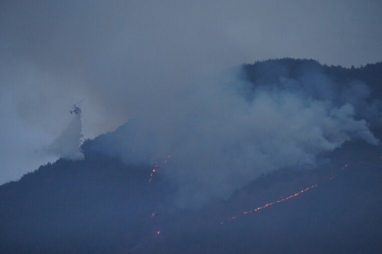 올해 산불 심상찮다… 벌써 140건, 평년보다 43% 급증