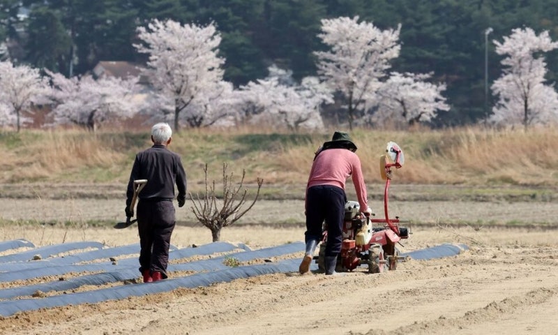 ‘농지 전수조사’ 준비 착수…매각명령, 매해 1000명서 대폭 늘 듯