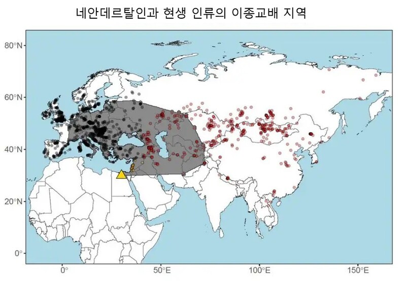 네안데르탈인과 현생 인류의 이종교배 지역 분포도(회색 지역).점들은 분석 유전자 표본 위치,삼각형은 호모 사피엔스가 아프리카를 빠져나간 경로를 가리킨다.바이오아카이브