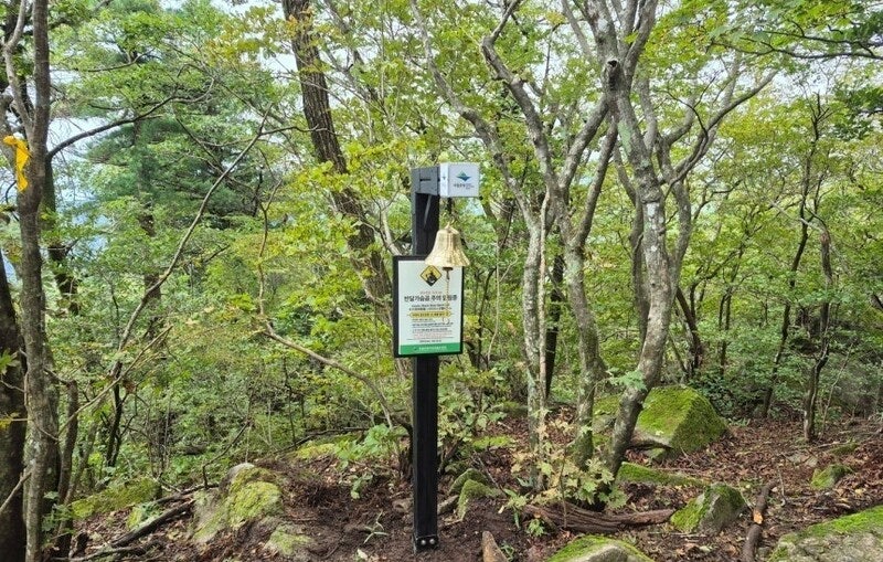 반달가슴곰과 공존 위한 ‘과학적 거리두기’ [왜냐면]