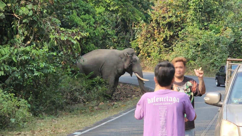 ‘요새’ 안에 갇힌 동물들 [남종영의 인간의 그늘에서]