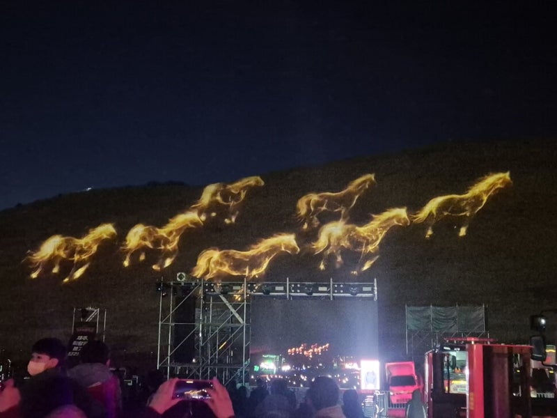 [현장] 5년 만에 살아난 불씨…들불축제는 생태축제일까