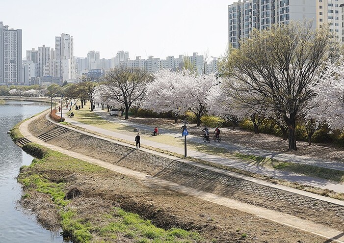 대구 신천 자전거길에서 시민들이 자전거를 타고 이동하고 있다. 대구시 제공