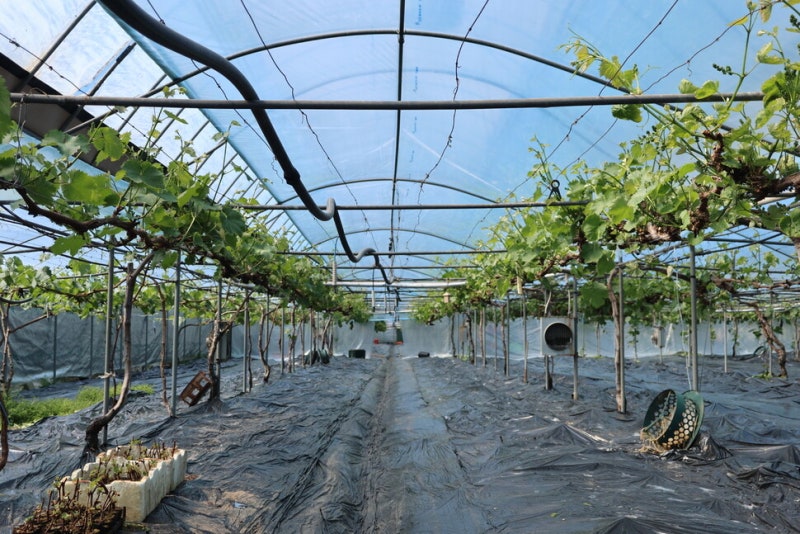 [사설] 미-이란 전쟁 직격탄 맞은 농어민, 추경 지원 늘려야