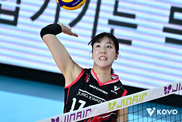 프로배구 여자부 FA 20명 공시…국대 미들블로커 정호영 최대어