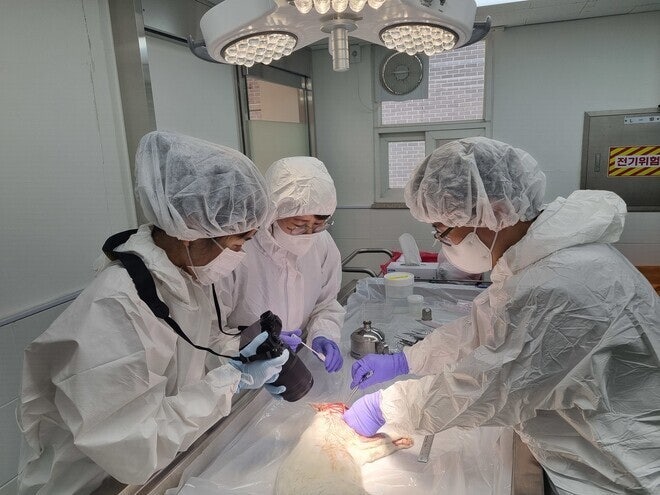 죽은 동물의 ‘마지막 가르침’ 외면 말아야 [왜냐면]