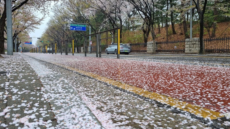 찬란한 순간에 이별하다 [포토에세이]
