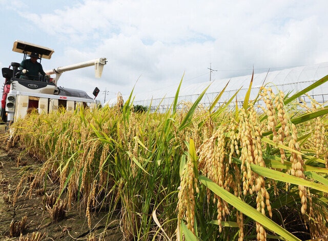 [단독] 고령농, 경운기 폐차하면 보조금…농림 분야 안전 대책 나온다