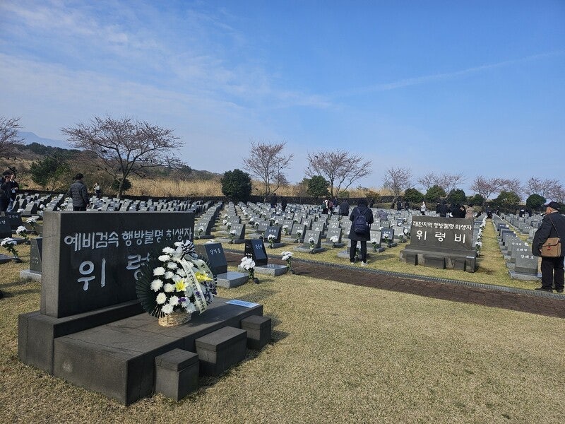 꺾어도 돋는 고사리처럼, 잊어도 살아나는 4월의 기억