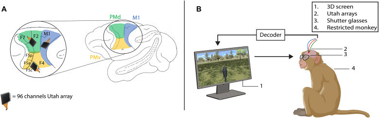 실험 모식도.논문 갈무리