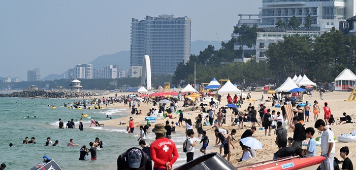 깜짝 놀란 ‘동해안 상어 출몰’ 알람…해수온 상승 탓 “상반기만 46건 출현”