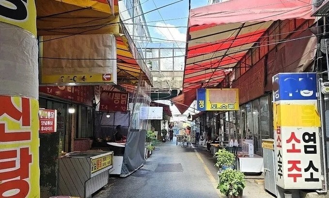 “한국서 먹으러 올까 봐”…일 여권, ‘개·고양이 식용 금지법’ 추진