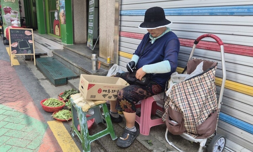 김경남(70)씨가 12일 서울 마포구 망원시장에서 상추와 고구마순을 판매하고 있다.이날 서울은 최고 기온 34도에 달했다.장현은 기자