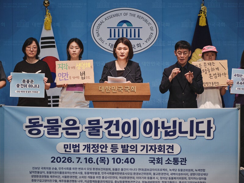 “동물은 물건이 아니다” 그다음은? [이형주의 비인간동물사]