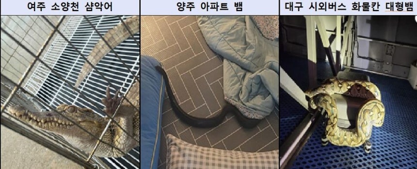 서울 동부지검 제공