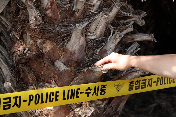 장미란씨 실종 몇 시간 내 사망…“‘허위종결’ 60대 남성 전화번호도 가짜”
