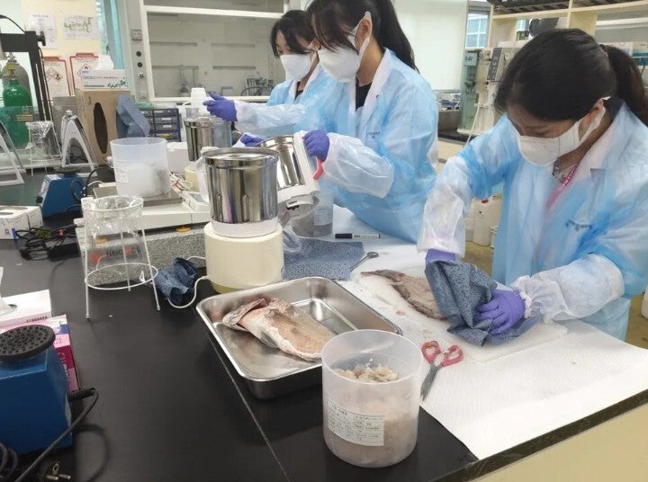 일 오염수, 바닷물만 보지말고…“촘촘한 생태계 감시망을”