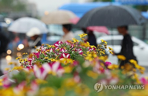 전국적으로 비가 내린 1일 서울 종로구 세종로사거리에 심어진 화단 뒤로 우산을 쓴 시민이 길을 지나고 있다.[연합뉴스] 
