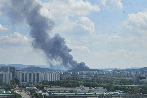 [속보] 강남 <b>세곡동 화훼단지</b>서 <b>화재</b>…소방 대응 1단계 발령