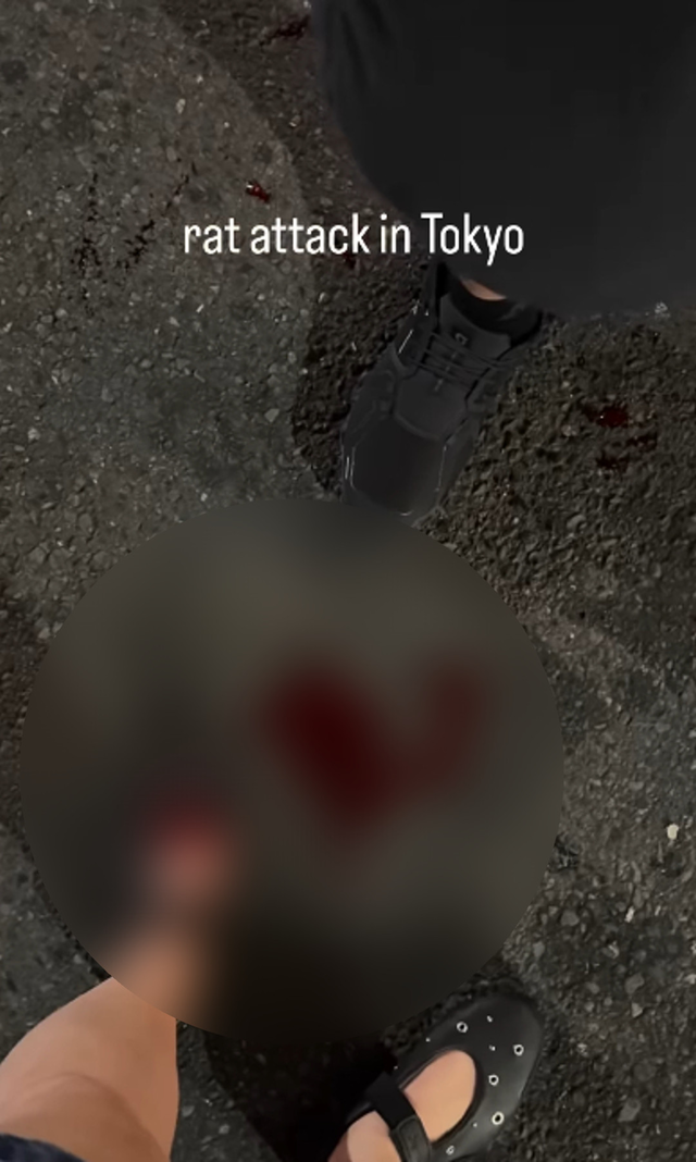 [出処=インスタグラム @yogitutty]