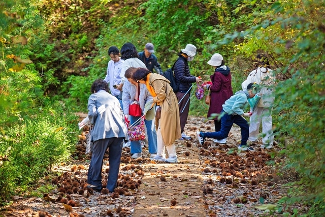 한컴그룹이 지난 25일 연 ‘2025 청리움 가을걷이 축제’에 참여하는 모습. 한컴 제공