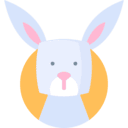 토끼띠.자세히 알아보기