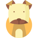 개띠.자세히 알아보기