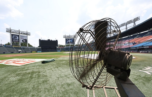 ‘가마솥 <b>폭염</b>’에 프로야구 전 경기 멈췄다…<b>KBO</b> 사상 처음