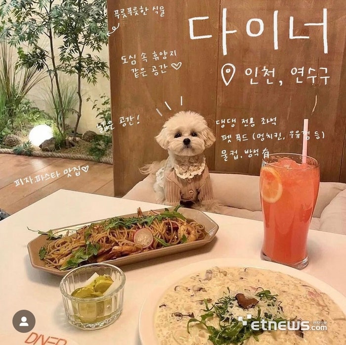 [마이펫페어] 반려동물 동반 가능 식당 다이너 <b>송도</b>점