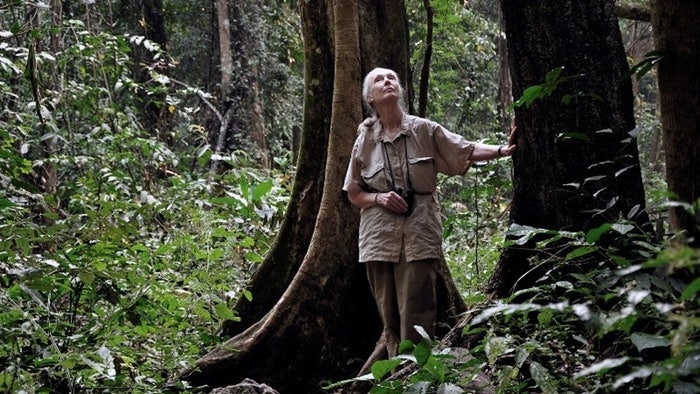 0003368089_001_20251107172013443.jpg?type=w800