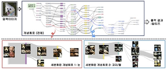 AI는 어떻게 생각하나?…뉴런→회로 개념으로 첫 시각화