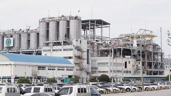 LG화학 여수공장 전경[사진=LG화학]