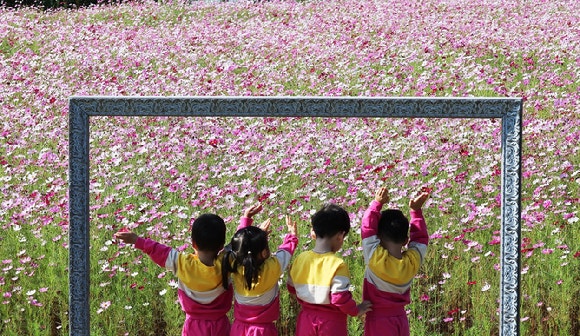 경기도 수원시 권선구 탑동시민농장을 찾은 어린이들이 활짝 핀 코스모스를 감상하고 있다.[사진=연합뉴스]