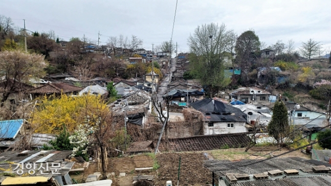 명백사 이미지