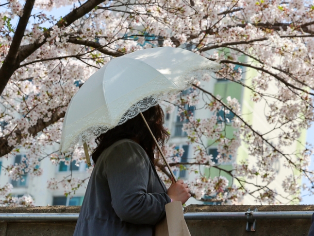 지난 9일 서울 양천구 안양천에서 한 시민이 양산을 쓰고 산책하고 있다. 연합뉴스