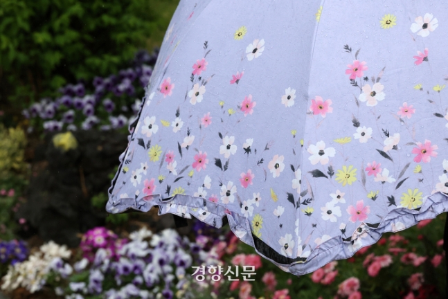 전국에 봄비가 내린 지난 15일 서울광장에서 한 시민이 든 꽃무늬 우산에 빗방울이 &#47611;혀 있다. 조태형 기자