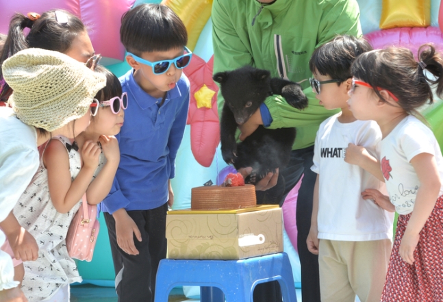 베어트리파크에서 열린 아기반달곰 백일잔치. 베어트리파크 제공