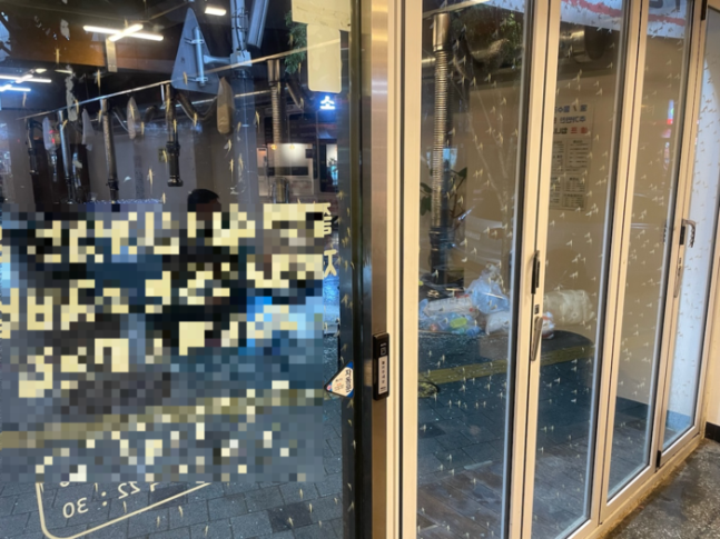 신상철씨가 근무하는 서울 성동구의 가게 전면 창에 지난 12일 동양하루살이가 붙어있다. 독자제공